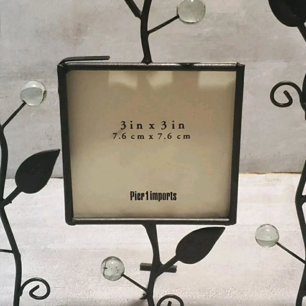 Pier 1 Imports Brown Metal Leaf Frame Clear Glass Accents 3